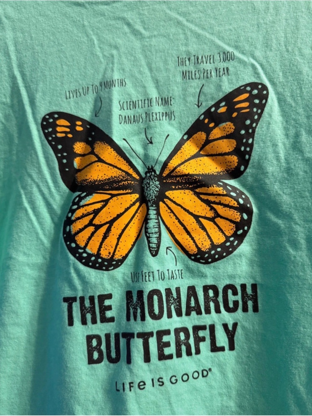 Life Is Good Kids Monarch Butterfly Tee - Turquoise & Orange